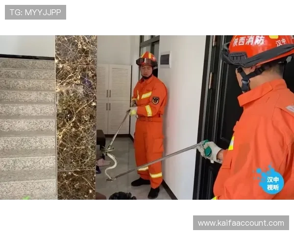 凯发在线官网的支付方式多样化与资金安全保障措施全面分析