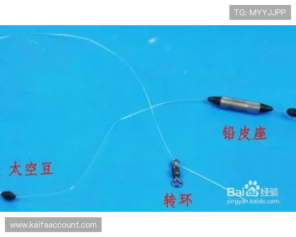 K8捕鱼王技巧提升捕鱼效率的实用技巧和常见误区解析 K8捕鱼王技巧提升捕鱼效率的实用技巧和常见误区解析